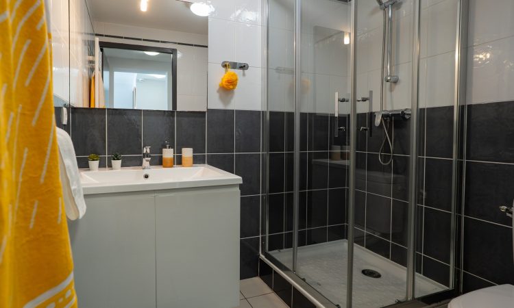Salle de bain d’un T2 standard avec douche et aménagement pratique. T2 standard avec salle d’eau fonctionnelle et propre.