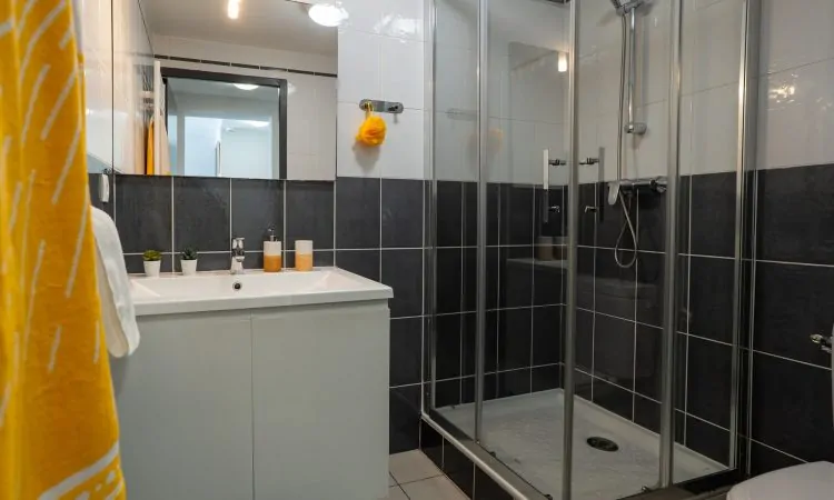 Salle de bain d’un T2 standard avec douche et aménagement pratique. T2 standard avec salle d’eau fonctionnelle et propre.