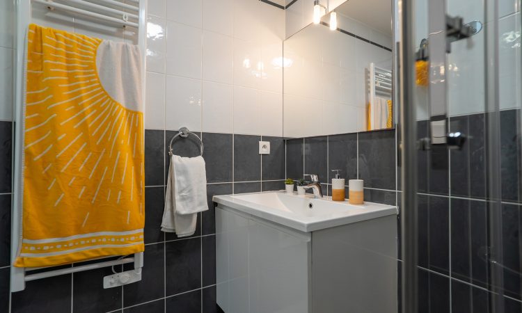 Salle de bain lumineuse d’un appartement T2 standard. T2 standard avec salle de bain simple et confortable.