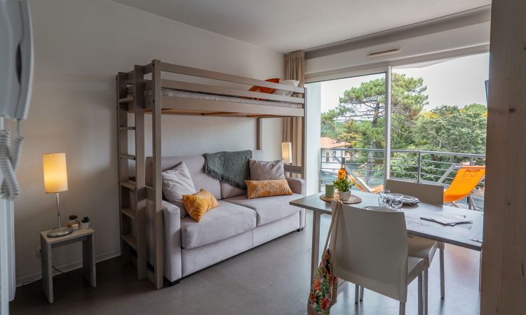 Salon du studio avec canapé et décoration contemporaine. Studio animaux admis à Hossegor avec espace de vie confortable et agencement pensé pour deux ou trois personnes.